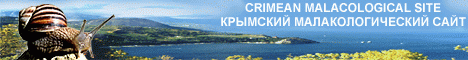 Banner of the "Crimean malacological site"

  Баннер "Крымского малакологического сайта"